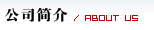 公司簡介